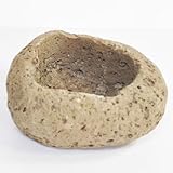 軽石大 山野草鉢 3号 幅 13.0 cm × 高6.0 cm