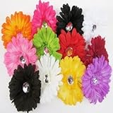 12 Spring Daisy Clips & 12 Matching Crochet Headbands - Styles & Colors Vary by Big Dreams [並行輸入品]