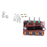 Baoblaze 高性能　安定性　実用　TPA3116D2 　チャンネル　デジタルパワー　オーディオアンプボードモジュール