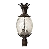 Acclaim 7517BC Lanai Collection 3-Light Post Mount Outdoor Light Fixture, Black Coral [並行輸入品]