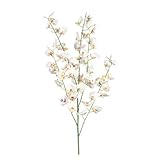 Better Crafts Everyday Longstem Oncidium Orchidスプレーx5ホワイト37インチ( 12パック) ( 0dc-8610 – 010 )