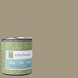 Inspired Eggshell Interior Paint, Nourish .04, Quart [並行輸入品]