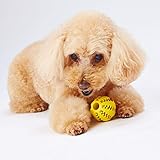 ペティオ (Petio)犬用おもちゃTREATS LOVER ボール S