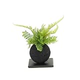 CUPBON シノブ 竹炭ボール 盆栽 造花 フェイクグリーン