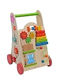 EverEarth Activity Walker EE30949 [並行輸入品]