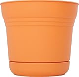 Bloemは土星プランターテキーラサンライズSP1220を12インチ