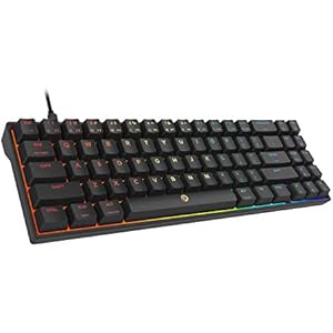 DREVO Calibur V2 TE ミニ RGB ゲーミングキーボード 赤軸 英語配列 USB有線 コンパクト 71キー テンキーレス メカニカルキーボード ブラック