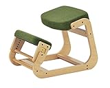 koeki 姿勢補助デスクチェア SLED(スレッド)チェア グリーン色 SLED-1(GN)