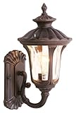 Livex Lighting 7650-58 Oxford 1 Light Imperial Bronze Cast Aluminum Wall Lantern with Light Amber Wa