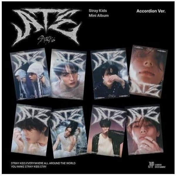 stray kids オンコン ARチケット フィリックス straykids stray kids オンコン UNLOCK ARチケット フィリックス stray