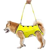 GIIPET 犬用介護ハーネス 犬 歩行補助ハーネス 通気性 サイズ調整可能 簡単脱着 老犬 けが 手術後 リハビリ 小型犬 中型犬 散歩 胴輪 前足 後足サポート 快適フィット お出かけ便利 介護用品 (ホワイト - 夏, L(14-20kg))