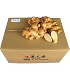 Amazon.co.jp: 種生姜 千葉県産三州生姜10kg : 食品・飲料・お酒