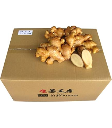 Amazon.co.jp: 種生姜 高知県産近江生姜（白）10kg : 食品・飲料・お酒
