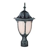 Trans Globe Lighting 4042 SWI 1-Light Post Lantern, Swedish Iron [並行輸入品]