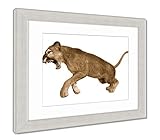 Ashleyフレームプリント3dレンダリングBig Cat Puma onホワイト、壁アートホーム装飾、ag6581491 34" x 40", Silver Frame 6581491-AFPL1-