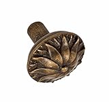 Fusion Hardware 111-MDB Bella Villa Collection Tuscan Floral Cabinet Knob, Medium Bronze [並行輸入品]