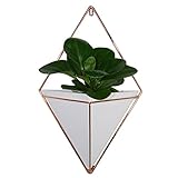 Starall　壁の植木鉢　幾何　壁掛け式フラワーベース　フラワーポット　植木鉢　サクサクミニサボテン　ハンギング花瓶　装飾容器　　2個/セット (S, ホワイト)