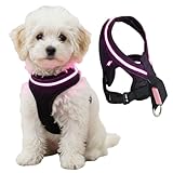 犬 ハーネス 可愛い 散歩 小型犬 中型犬 大型犬 日本の企業 光る LED (ピンク, L)