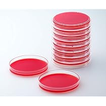 ナルムさん Amazon | ベクトン・ディッキンソン BD BBL TM TSAⅡ5％ヒツジ