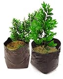 Mtef プラスチックの育苗袋 ガーデン 植物保育袋 植え袋 園芸用品 植栽バッグ 鉢 栽培 植木ポット 保育園バッグ　ブラック 20x35cm 25つのパック