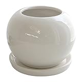 COVENT GARDEN ホワイトグレーズ・ボールポット QP-37