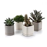 T4U 7.5CM 陶器鉢 カメオブラウンシリーズ ラウンド 多肉植物 サボテン鉢 フラワーポット プランター容器 受け皿付き フルカラー 4個入りセット