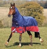 Shires Tempest元Lite Fox印刷シート 66 9330 FOXPRT 66