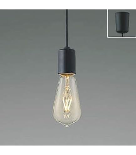Amazon | パナソニック(Panasonic) 天井吊下型 LED 電球色 ペンダント