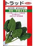 トラッド　サカタのほうれん草種です