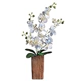 リアルな事前点灯Tabletop Orchid in Texturedプランターポット ホワイト 38907 WHIT