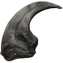 41th134d-AL._AC_UL210_SR210,