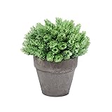 T4U 造花アレンジ 人工観葉植物 インテリア シェイプNO.3 グリーン プレゼント