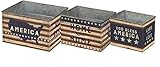Tinビンセット – 愛国サイズ: 10.88 " X 6.75インチ、9.25 " X 6.38、" 7.50 " X 6.13 "プリミティブby Kathy