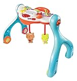 Vtech Lil ' Critters 3 - in - 1 Baby Basics Gym ( Discontinued by Manufacturer )