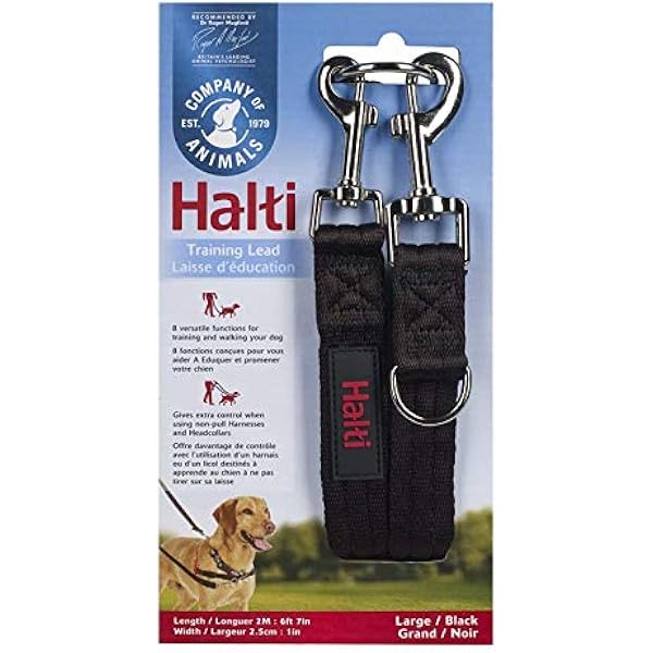 halti training leads