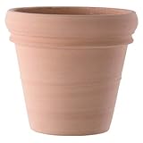 イタリア製テラコッタ鉢 リムポット ホワイトテラコッタ 52cm ／植木鉢