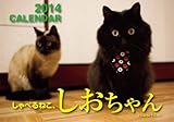 しゃべるねこ、しおちゃん 2014カレンダー