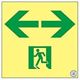 高輝度蓄光通路誘導標識 ←→ SSN963【代引不可】 生活用品 インテリア 雑貨 文具 オフィス用品 その他の文具 オフィス用品 [並行輸入品]
