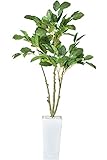 DORIS 観葉植物 光触媒 本物に近い質感 水やり不要 フェイクグリーン 陶器鉢 コーヒーツリー