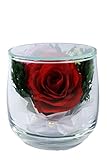 チャト チャック 1 Preserved Rose in small round glass