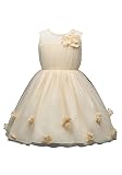 DOOXI 女の赤ちゃんのメッシュショルダープリーツメッシュの3次元の花の女の子プリンセスドレスのスプライシング (70, イエロー) [並行輸入品]