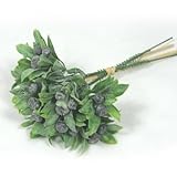 ブルーベリーピック　2本入り 【実物】【フェイク】