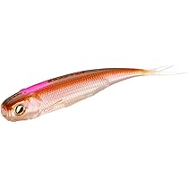 Amazon.co.jp: レイドジャパン(Raid Japan) FISHROLLER FISH