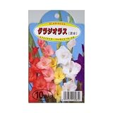 春植え球根 グラジオラス 10球 大球ミックス (530874)