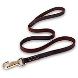 HJ 革製リード ロングリード しつけ リード ペットリード 犬用引き紐 ドッグリード 小型犬 中型犬 散歩 丈夫 (110cm*1.6CM, ブラウン)