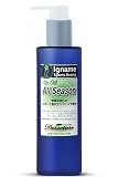 イナーメ・スポーツアロマ アップオイル 100ml ポンプ式 (All Season オールシーズン) 爽やかな香り ホホバオイル 100% (マッサージ用) ウォーミングアップ レース前 運動時 イナーメオイル マッサージオイル