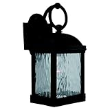 Sea Gull Lighting 88190-802 Outdoor Sconce with Seeded WaterGlass Shades, Obsidian Mist Finish [並行輸入