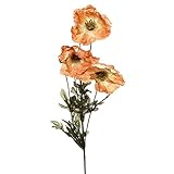 人工オレンジPoppyスプレー