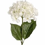 Hill Interiors Single Hydrangea Stem One Size ホワイト UTHI2194_2