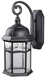 Canarm IOL91 BK Outdoor Light, Black [並行輸入品]